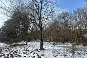 18474 Frampton Rd, Frazeysburg, OH 43822 - Photo 20