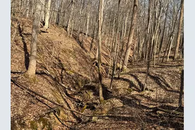 7459 Township Rd 215-A SE #(Tract 5 at Shawnee Woods), Corning, OH 43730 - Photo 22