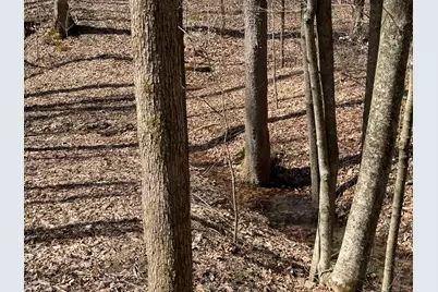 7459 Township Rd 215-A SE #(Tract 5 at Shawnee Woods), Corning, OH 43730 - Photo 6