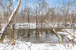 8144 Mt Air Pl, Columbus, OH 43235 - Photo 50