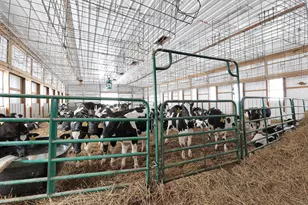 11109 Webb Summit Rd SE, Bremen, OH 43107 - Photo 32