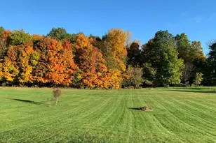 6075 Township Road 107, Mount Gilead, OH 43338 - Photo 72