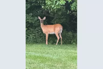 5593 Haydens Reserve Way, Hilliard, OH 43026 - Photo 12