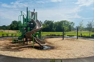 819 Ping Ln, Sunbury, OH 43074 - Photo 44