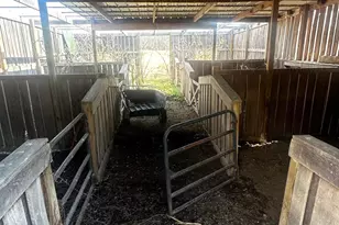 1454 Erwin Rd, Jackson, OH 45640 - Photo 32