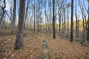 15399 Clapper Hollow Rd, Laurelville, OH 43135 - Photo 40