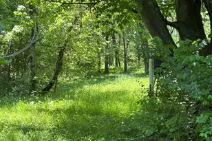 7020 Sportsman Club Rd NW, Johnstown, OH 43031 - Photo 4