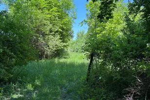 7020 Sportsman Club Rd NW, Johnstown, OH 43031 - Photo 62