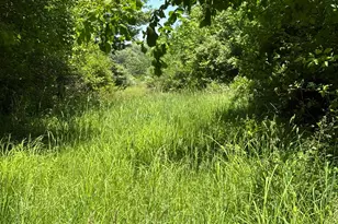 7020 Sportsman Club Rd NW, Johnstown, OH 43031 - Photo 64