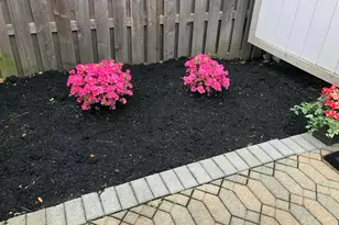 524 Woodingham Pl, Columbus, OH 43213 - Photo 40