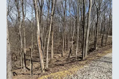 7507 Township Rd 215-A SE #(Tract 3 at Shawnee Woods), Corning, OH 43730 - Photo 10
