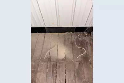 9120 Shady Lane, Blue Rock, OH 43720 - Photo 40