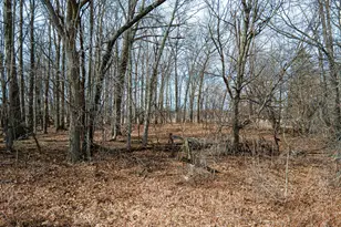 0 County Road 31, Galion, OH 44833 - Photo 18