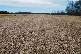 0 County Road 31, Galion, OH 44833 - Photo 16