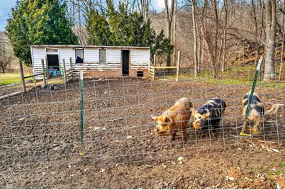 19062 State Route 327, Wellston, OH 45692 - Photo 50