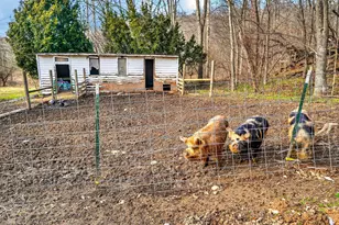 19062 State Route 327, Wellston, OH 45692 - Photo 50