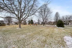 2822 Big Sur Dr, Lewis Center, OH 43035 - Photo 68