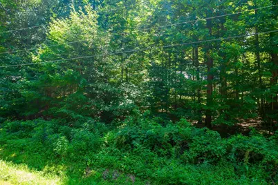 0 Westmoreland Drive, Howard, OH 43028 - Photo 4