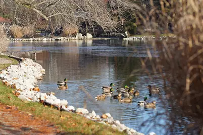 392 Hickory Lane, Westerville, OH 43081 - Photo 34