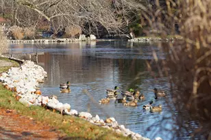 392 Hickory Ln, Westerville, OH 43081 - Photo 34