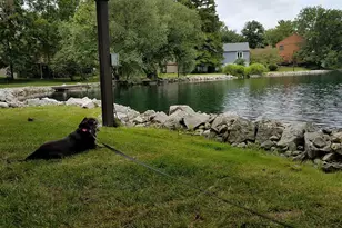 392 Hickory Ln, Westerville, OH 43081 - Photo 36