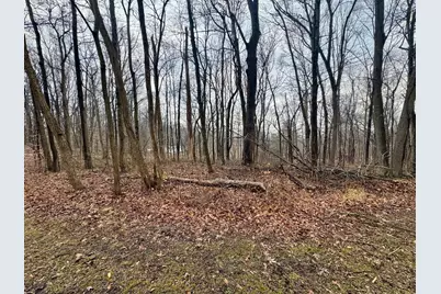 0 Forest Lane, Nashport, OH 43830 - Photo 6