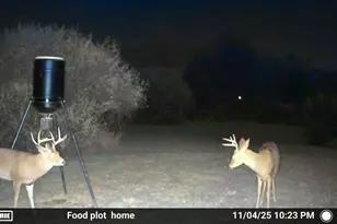 10150 County Rd 12 Rd, Corning, OH 43730 - Photo 32