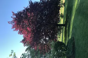 736 Arlington Rd, Bellefontaine, OH 43311 - Photo 80