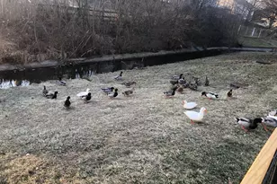 5757 Silver Spurs Ln, Galloway, OH 43119 - Photo 34