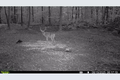 33341 Flat Run Road, McArthur, OH 45651 - Photo 40