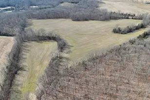 2195 Pumpkin Ridge Rd, West Union, OH 45693 - Photo 4