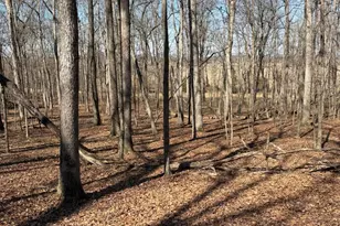 2195 Pumpkin Ridge Rd, West Union, OH 45693 - Photo 74