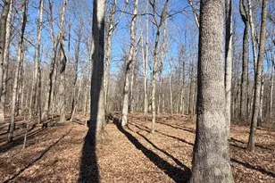 2195 Pumpkin Ridge Rd, West Union, OH 45693 - Photo 60