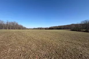 2195 Pumpkin Ridge Rd, West Union, OH 45693 - Photo 34