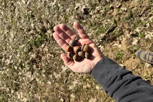 2195 Pumpkin Ridge Rd, West Union, OH 45693 - Photo 70