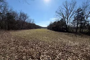 2195 Pumpkin Ridge Rd, West Union, OH 45693 - Photo 36