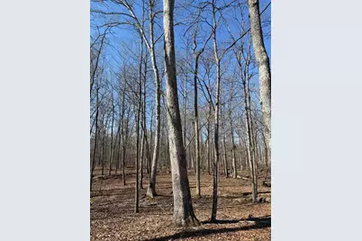 2195 Pumpkin Ridge Road, West Union, OH 45693 - Photo 68