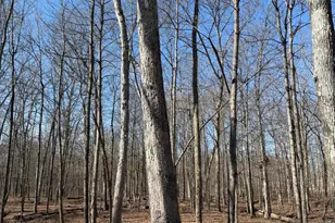 2195 Pumpkin Ridge Rd, West Union, OH 45693 - Photo 68