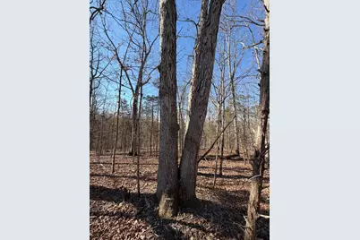 2195 Pumpkin Ridge Road, West Union, OH 45693 - Photo 22