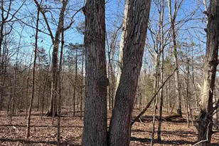 2195 Pumpkin Ridge Rd, West Union, OH 45693 - Photo 22