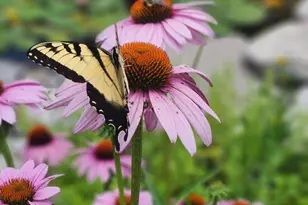 15338 Township Rd 195, Kenton, OH 43326 - Photo 58