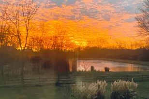 9530 Ward Rd, Plain City, OH 43064 - Photo 140