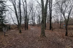 6136 Mink St SW, Pataskala, OH 43062 - Photo 28