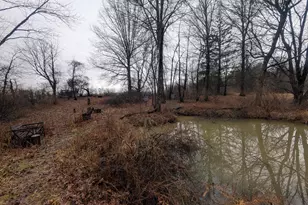 6136 Mink St SW, Pataskala, OH 43062 - Photo 32