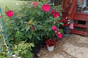 7880 E State Rte 29, Mechanicsburg, OH 43044 - Photo 36