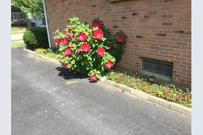 1116 Elaine Road, Columbus, OH 43227 - Photo 46