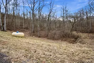 8660 Rural Dale Rd, Blue Rock, OH 43720 - Photo 46