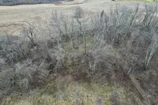 8660 Rural Dale Rd, Blue Rock, OH 43720 - Photo 52