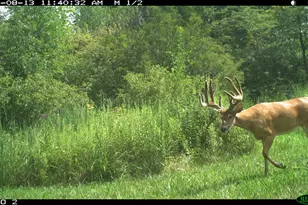 1855 Spring Valley Rd, London, OH 43140 - Photo 52