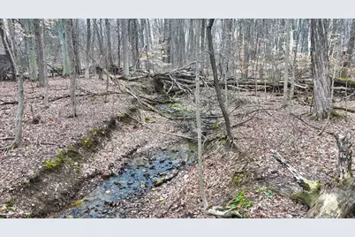 752 Vanderbilt Rd, Lexington, OH 44904 - Photo 38